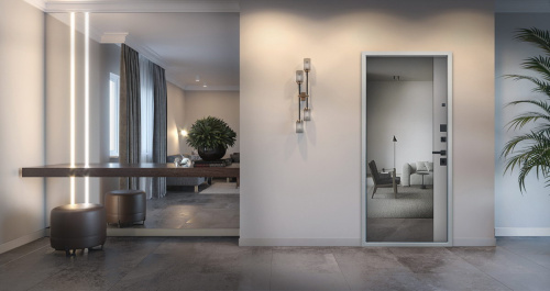 Входная дверь MRS-0087, серебро фото 17