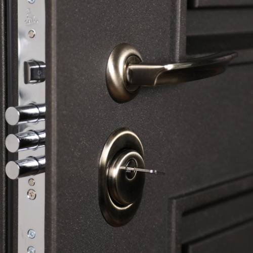 Входная дверь MRS-0029, черный фото 14