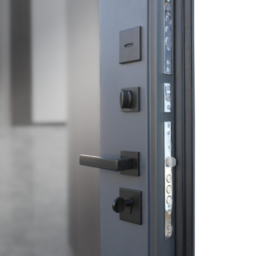 Входная дверь MRS-0087, серебро фото 14