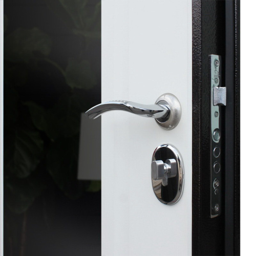 Входная дверь MRS-0058, черный фото 5