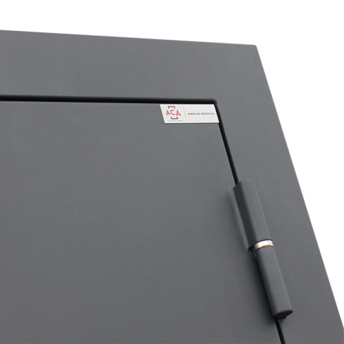 Входная дверь MRS-0024, серый фото 4