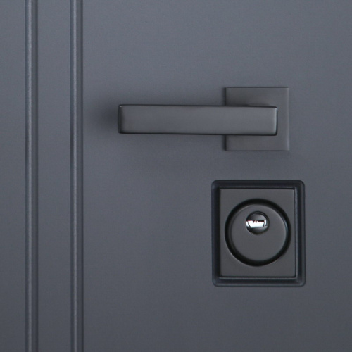 Входная дверь MRS-0045, серебро фото 5