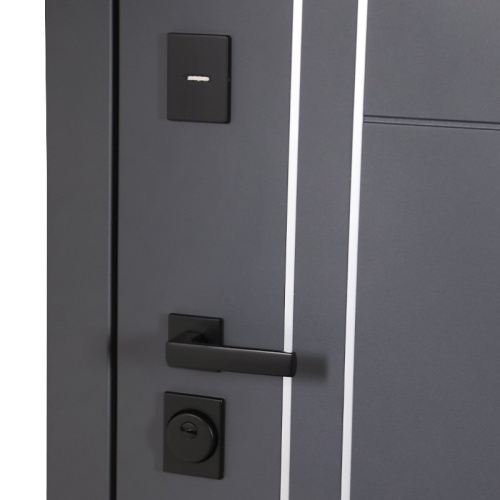 Входная дверь MRS-0026, черный фото 5