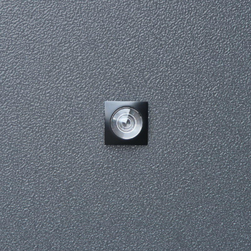 Входная дверь MRS-0088, черный фото 14