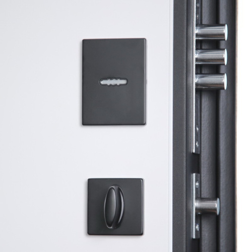 Входная дверь MRS-0091, черный фото 4