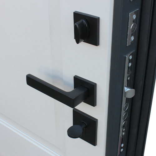 Входная дверь MRS-0086, серебро фото 8