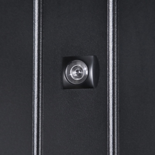 Входная дверь MRS-0021, черный фото 5