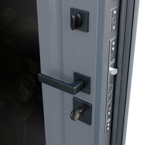 Входная дверь MRS-0050, черный фото 8