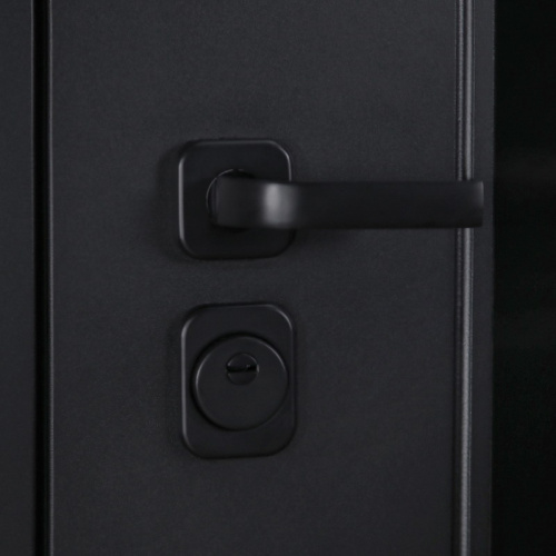 Входная дверь MRS-0021, черный фото 6