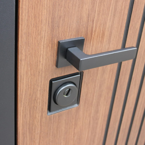 Входная дверь MRS-0028, черный фото 6