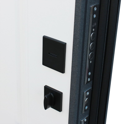 Входная дверь MRS-0033, черный фото 11