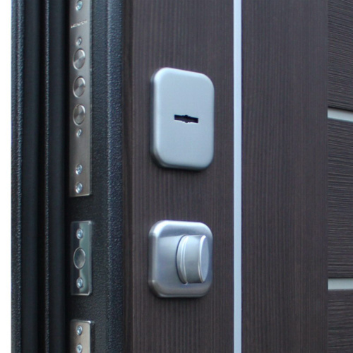 Входная дверь MRS-0071, черный фото 14