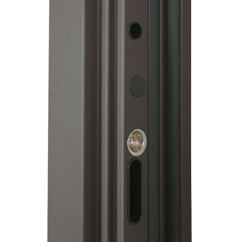 Входная дверь MRS-0076, черный фото 4