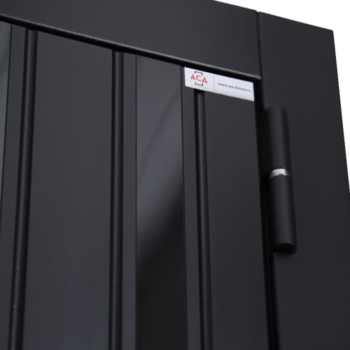 Входная дверь MRS-0021, черный фото 4