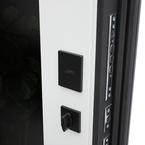 Входная дверь MRS-0041, черный фото 10