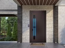 Входная дверь MRC-0035 рейлинг коричневый RAL 8019