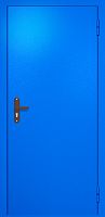 Однопольная техническая дверь RAL 5005 ДТ-01-482