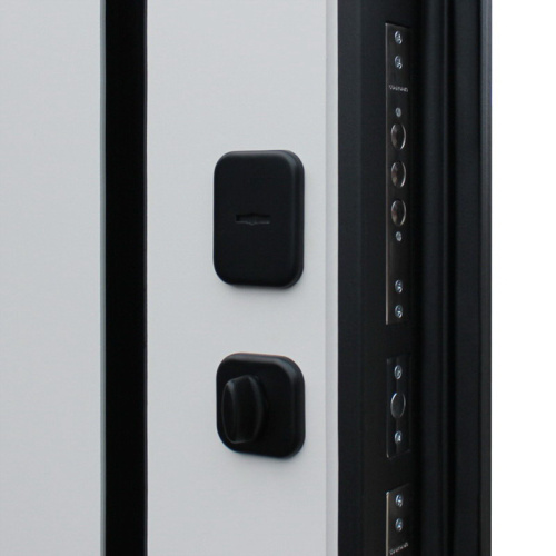 Входная дверь MRS-0065, серый фото 6