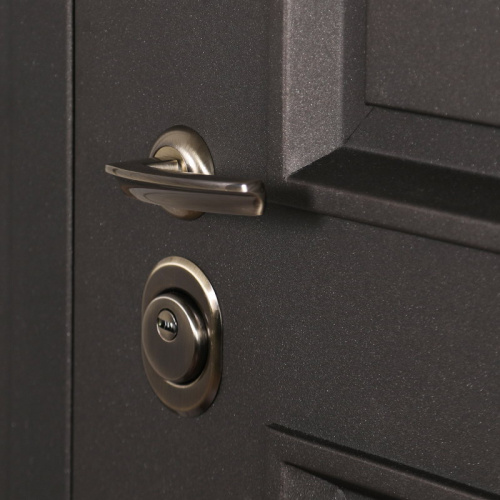 Входная дверь MRS-0029, черный фото 11