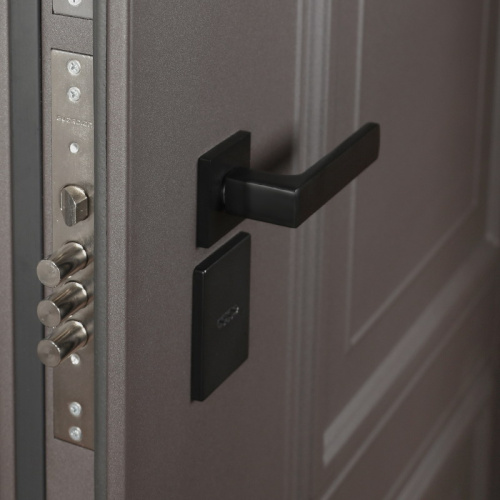 Входная дверь MRS-0076, черный фото 6