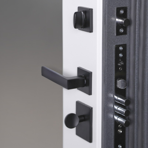 Входная дверь MRS-0039, белый фото 18