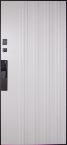 Входная дверь MRS-0091, черный фото 2